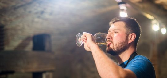 Nationale Weinsammlung der Slowakischen Republik