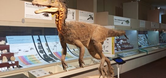 SNM-Naturwissenschaftliches Museum